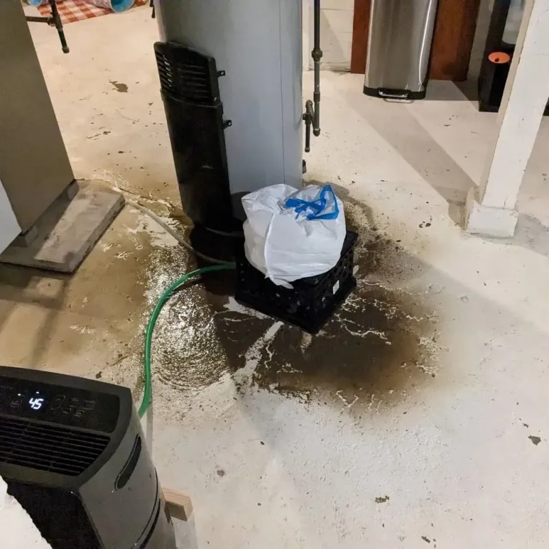 Sewage Backup Cleanup Service in Osceola Mills, PA